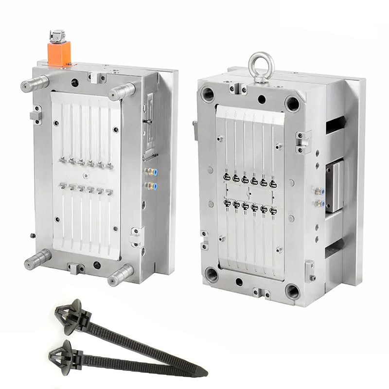 Nylon cable tie injection molding Nylon cable tie injection molding